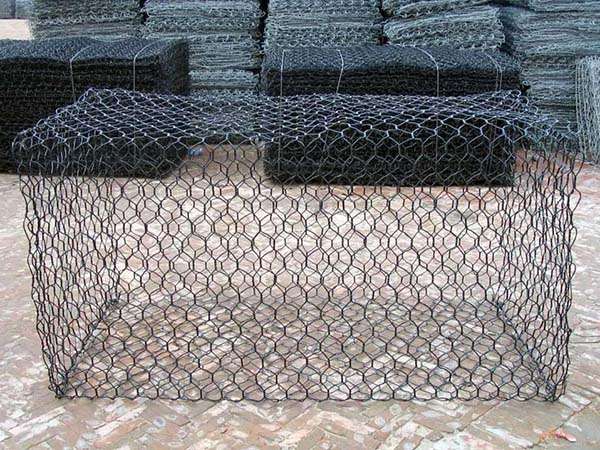 塞克格宾网图片2