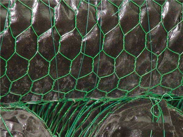 防洪绿格网图片4