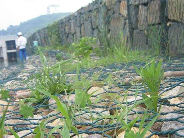 生态绿格网图片4