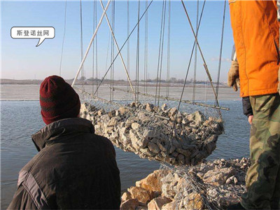 塞克格宾网图片3