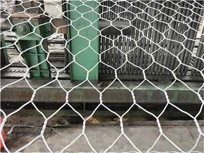 高尔凡雷诺护垫图片4