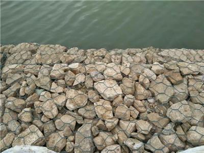 高尔凡雷诺护垫图片3