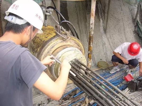 æ·±åºåæ¯æ¤åè¾¹å¡é²æ¤æ°ææ¯_3