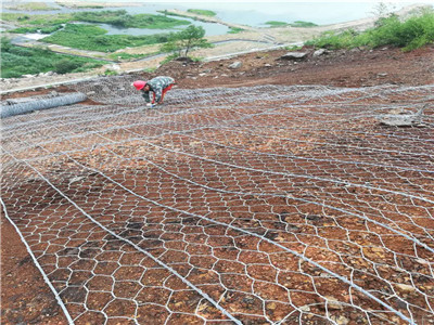 路面加筋网图片4