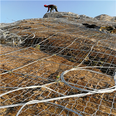 新希望北京智能猪场项目土建钢结构工程施工图片2