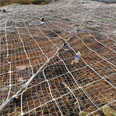 新希望北京智能猪场项目土建钢结构工程施工图片3