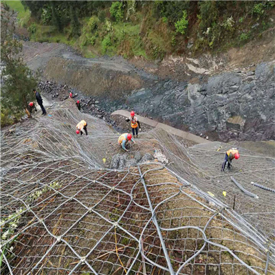 世界银行贷款铜仁农村公路项目第四批土建工程主动防护网图片4