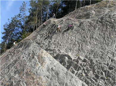 主动防护网图片2
