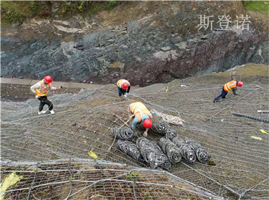 主动防护网图片3