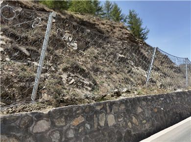 ROCCO环形网图片3