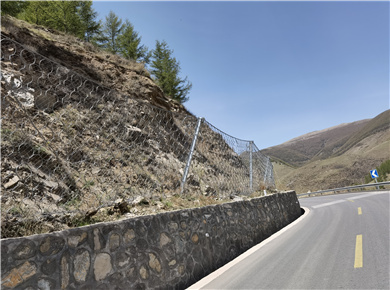 ROCCO环形网图片4