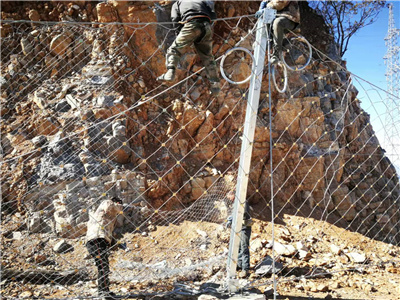 RX系列被动型菱形防护网图片3