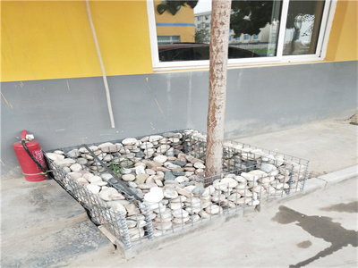 电焊石笼网图片2