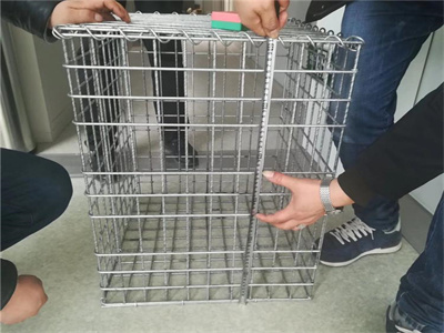 电焊石笼网图片4