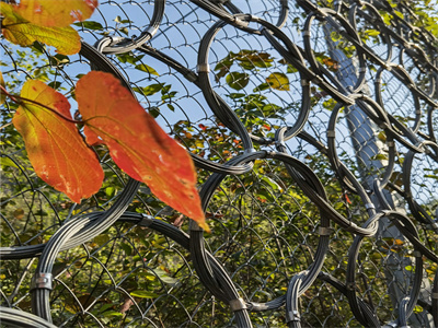 RXI系列被动型环形防护网图片2