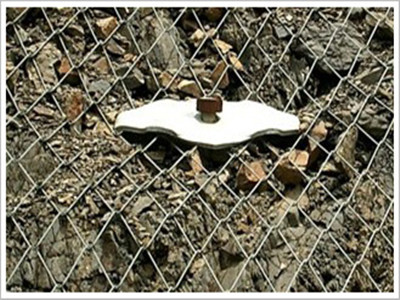 spider蜘蛛网图片3