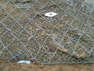 spider蜘蛛网图片4