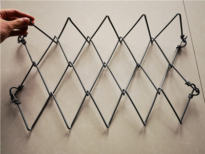 spider蜘蛛网图片2