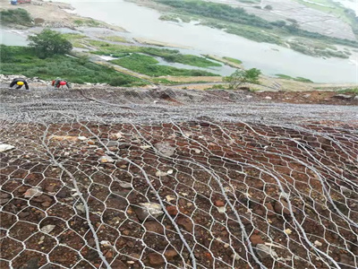 STG-50加筋主动防护网图片3