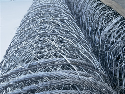 路面加筋网图片3