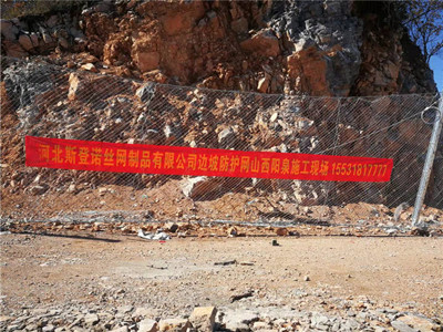 RX系列被动型菱形防护网图片4