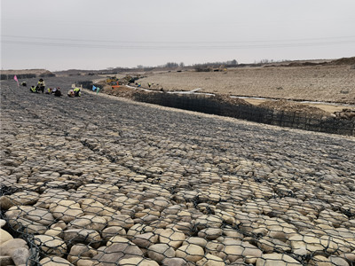 护岸铅丝笼图片4