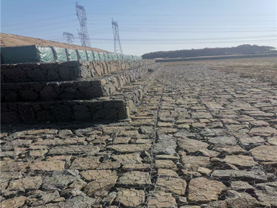 高尔凡雷诺护垫图片2