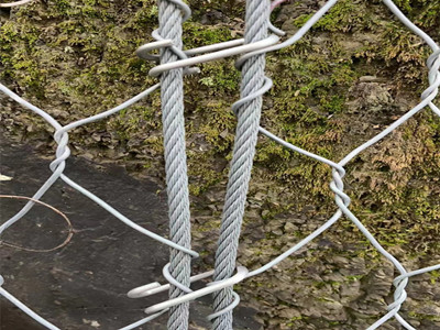 STG-50加筋主动防护网图片2