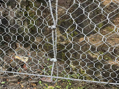 STG-50加筋主动防护网图片4