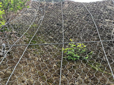 STG-50加筋主动防护网