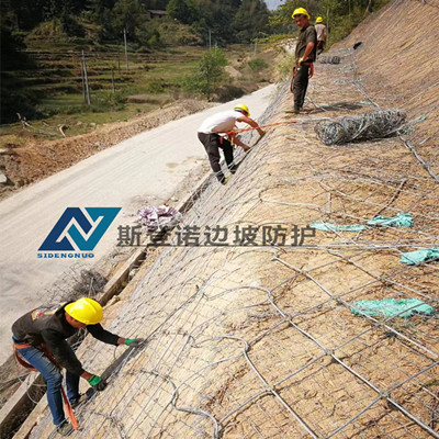 22年4月8日江西主动防护网施工图片3