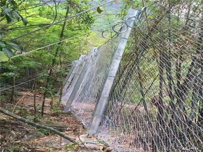 RX系列被动型菱形防护网图片2