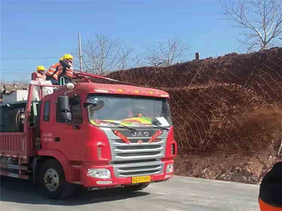 矿山治理喷浆护坡铁丝网图片2