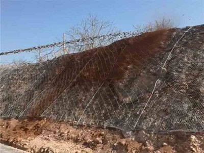 矿山治理喷浆护坡铁丝网
