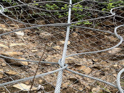 TECCO高强度钢丝格栅图片2