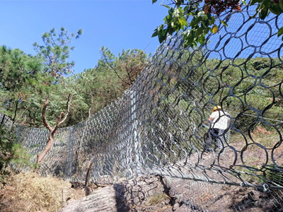 RXI系列被动型环形防护网