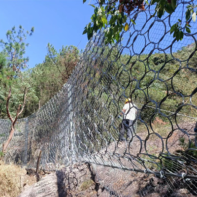 浙江温州永嘉县RXE-2000被动环形网施工图片2