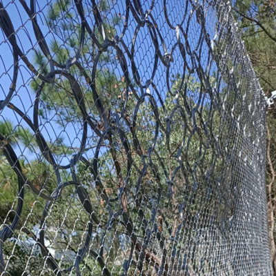 浙江温州永嘉县RXE-2000被动环形网施工图片3