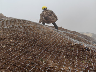 矿山治理喷浆护坡铁丝网图片3