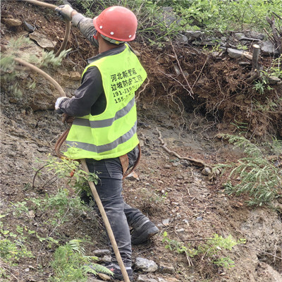 河南焦作主动边坡防护网工程施工图片2