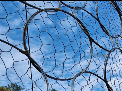 RXI系列被动型环形防护网图片3