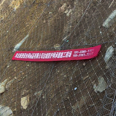 河北承德主动防护网施工