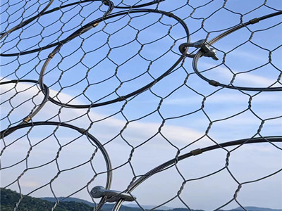 GPS-H主动环形防护网图片2