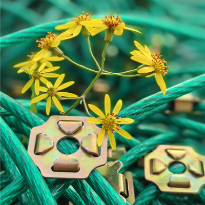 24年冬月浙江缙云主动网施工图片2