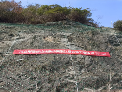 SNS柔性防护网图片2