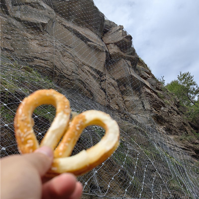 陕西延安主动防护网施工图片2