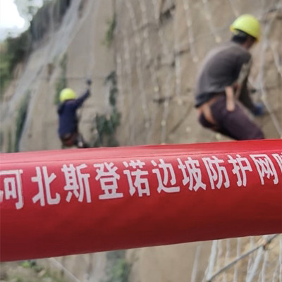 陕西铜川主动防护网施工图片3
