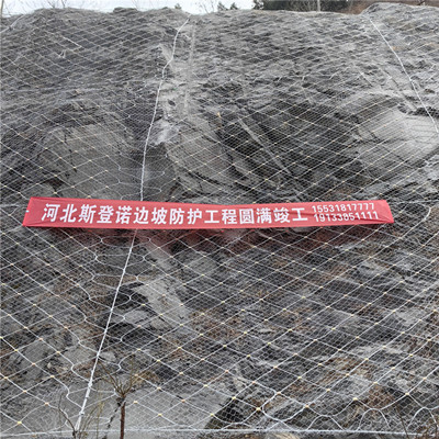 河南洛宁县新华崇阳电站右岸边坡防护网施工